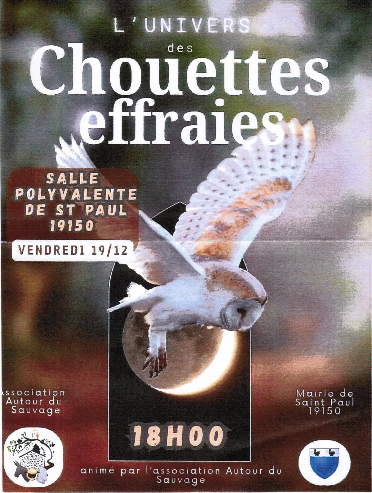 Conférence : L'univers de la chouette effraie