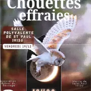 Conférence : L'univers de la chouette effraie