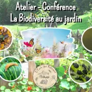 Conférence : la biodiversité au jardin