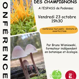 Conférence : La face cachée des champignons