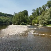 Conférence La faune et la flore des forêts riveraines de la Dordogne 