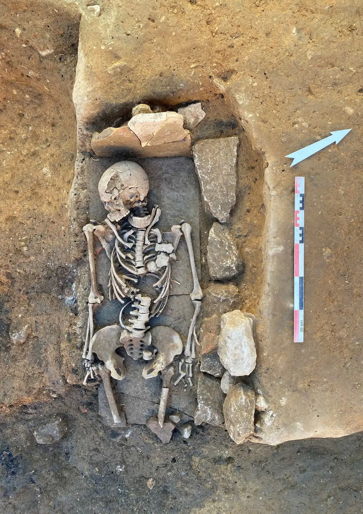 Conférence : La Fouille du 41 Cours Gambetta