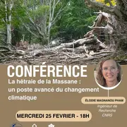 Conférence La Hêtraie De La Massane  Par Elodie Magnanou Pham
