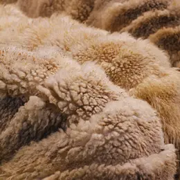 Conférence La laine, une fibre d'avenir
