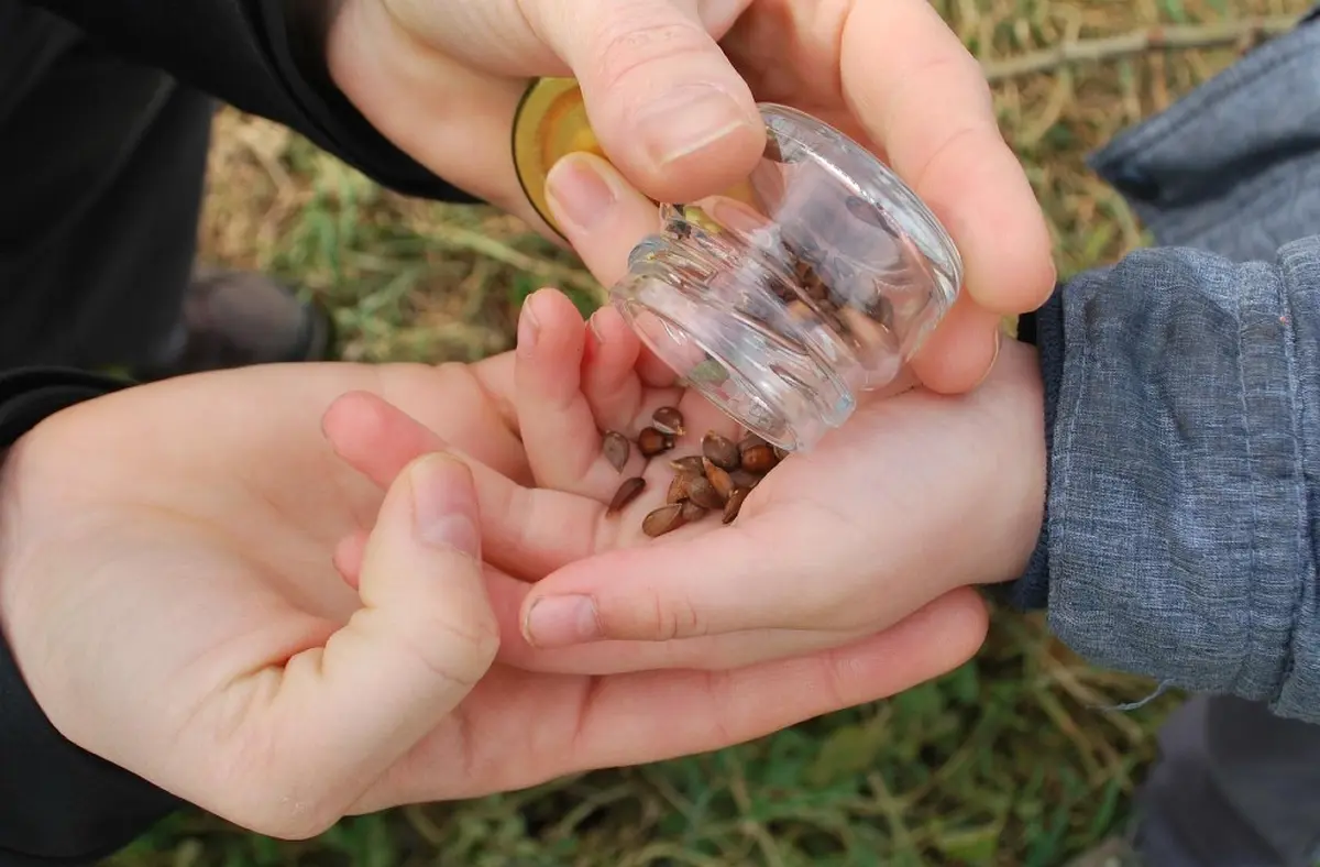 Conférence | La permaculture