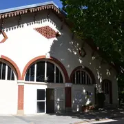Conférence : La provençalité à Aix au fil de la vie de Cezanne