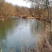 Conférence - La Sarre insolite