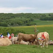 Conférence - La Transhumance Sur Les Hautes Terres Du Gévaudan