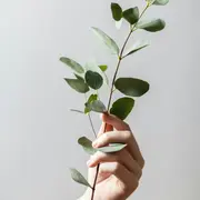 Conférence - Le bien-être par les plantes