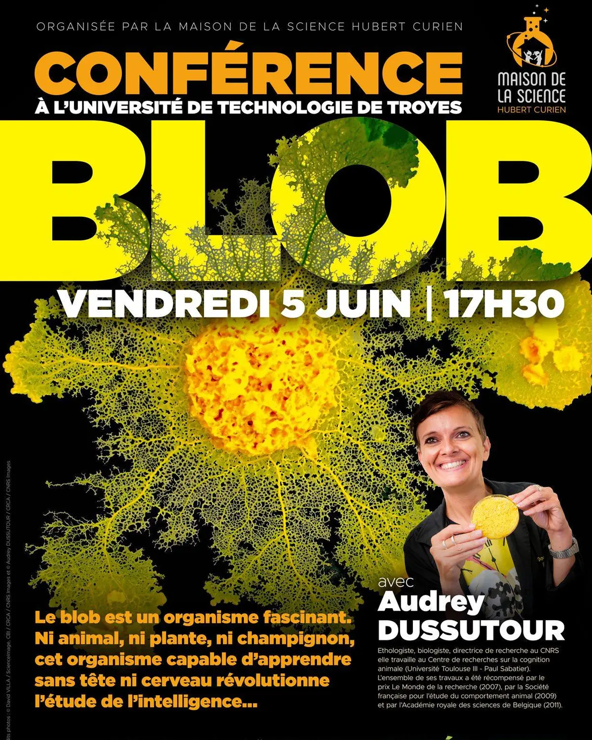 Conférence - Le Blob