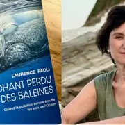 Conférence : Le chant perdu des baleines de Laurence Paoli