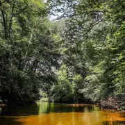 Conférence - Le Ciron, la rivière du Sud Gironde