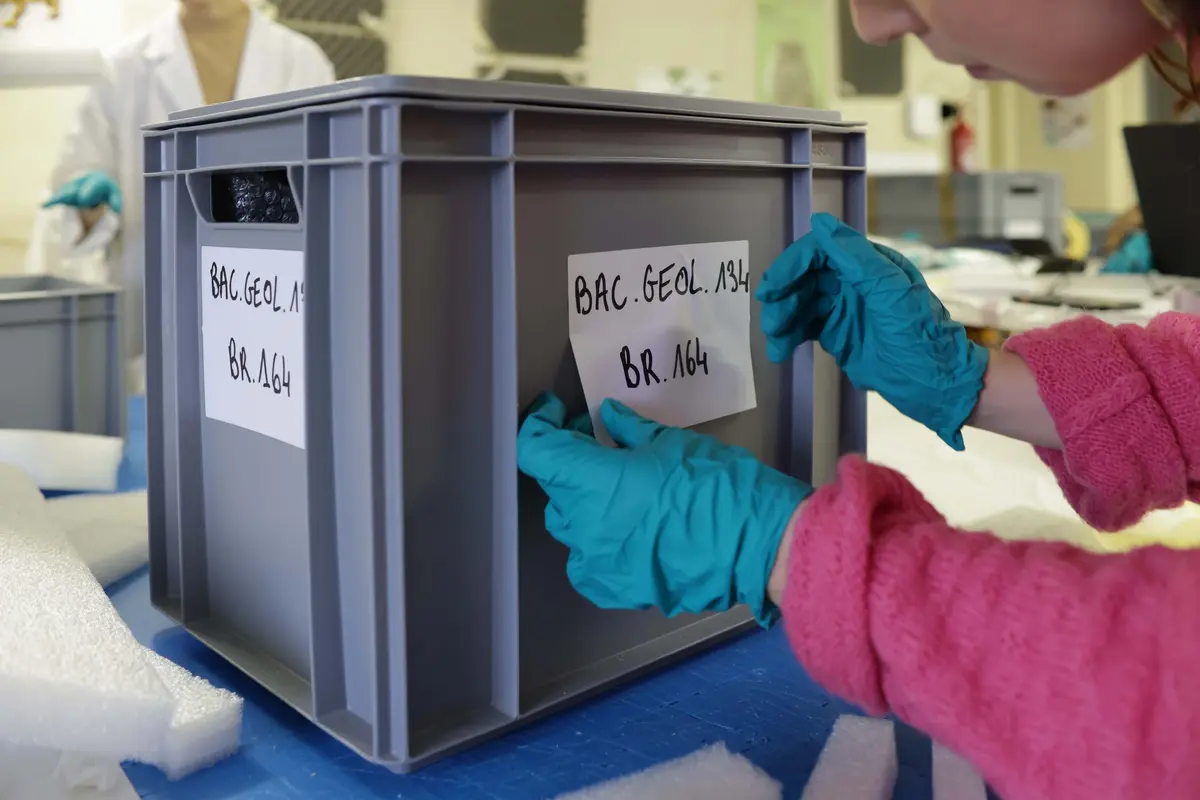 Conférence - Le Grand Déménagement du Musée St-Loup