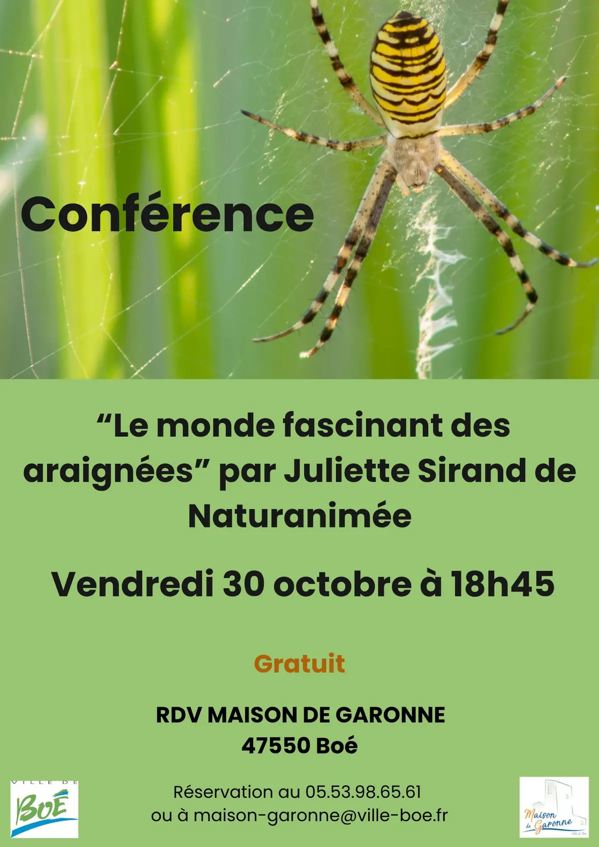 Conférence « Le monde fascinant des araignées » animée par Juliette Sirand