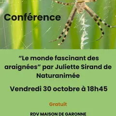 Conférence « Le monde fascinant des araignées » animée par Juliette Sirand