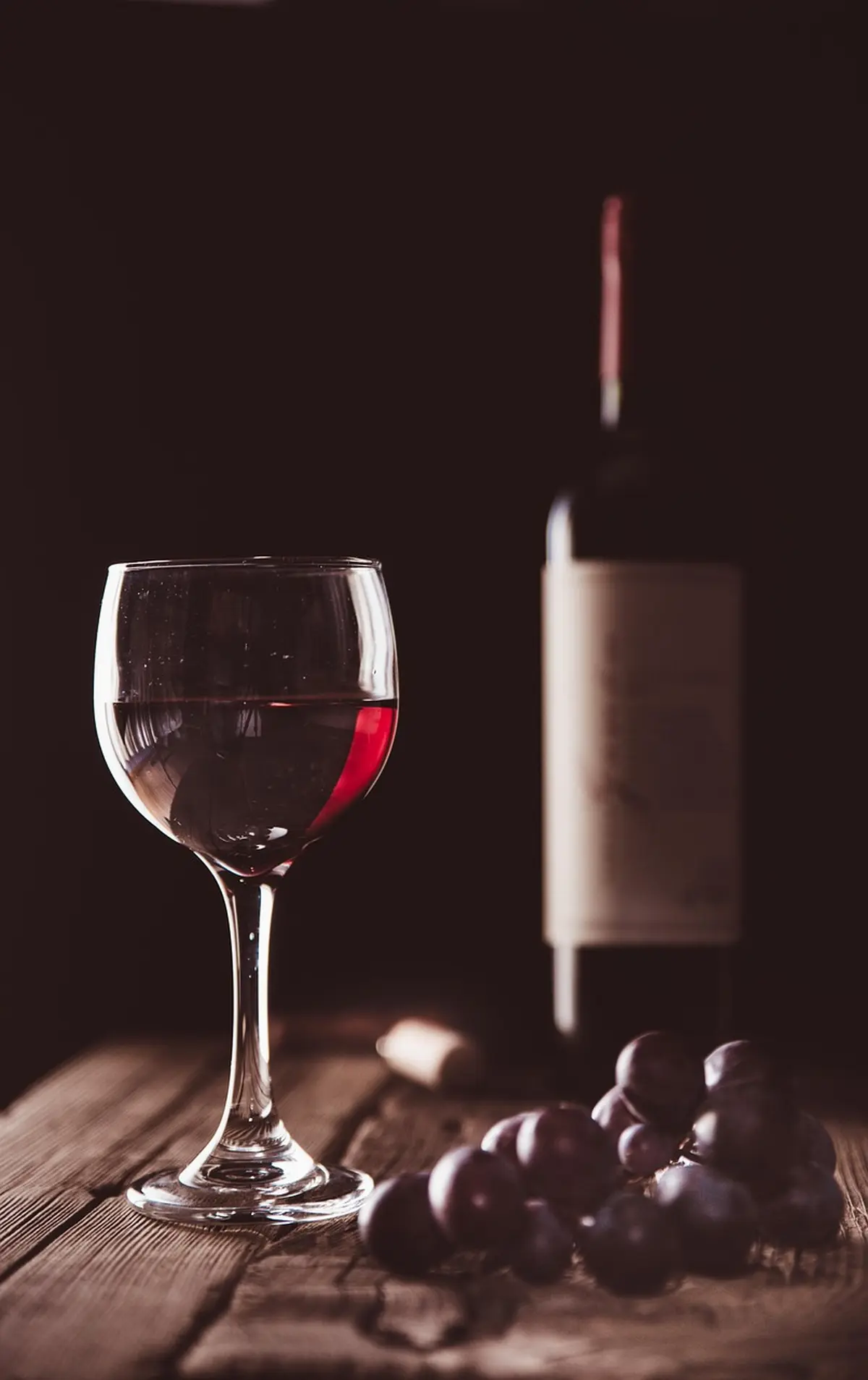 Conférence Le vin un art de vivre