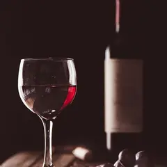Conférence Le vin un art de vivre