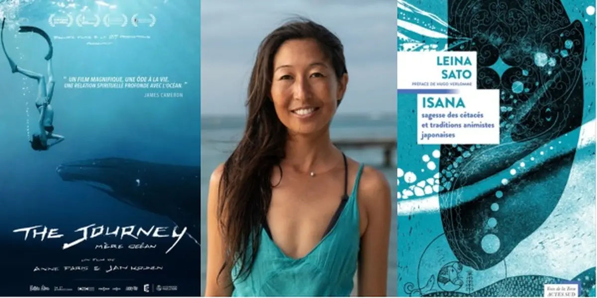 Conférence : Leina Sato à la Cité de l’Océan - Quand les cétacés nous invitent à repenser notre place dans le vivant