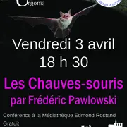 Conférence Les chauves-souris