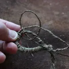 Conférence «Les cordes d'arc préhistoriques en fibres d'ortie»