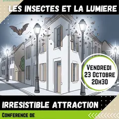 Conférence - Les Insectes Et La Lumière : Irrésistible Attraction