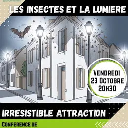 Conférence - Les Insectes Et La Lumière : Irrésistible Attraction