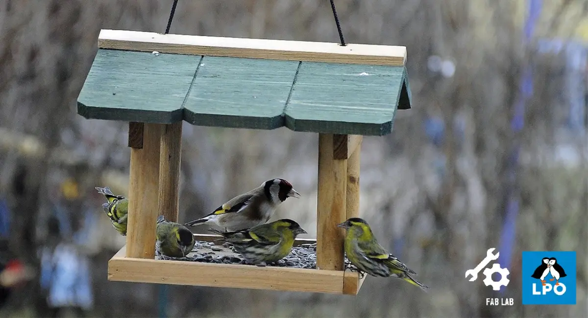 Conférence : Les Oiseaux du Jardin