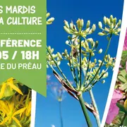 Conference Les Plantes D'Aqui