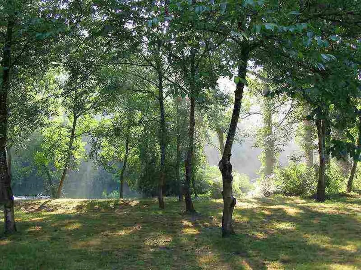Conférence Les recherches archéologiques LiDAR en forêts de Chantilly et Pontarmé