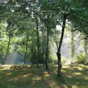 Conférence Les recherches archéologiques LiDAR en forêts de Chantilly et Pontarmé