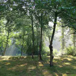 Conférence Les recherches archéologiques LiDAR en forêts de Chantilly et Pontarmé