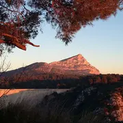 Conférence : Les Sainte Victoire pendant et après Cezanne