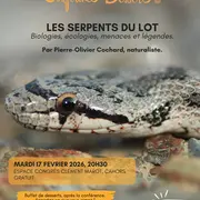 Conférence : Les serpents du Lot