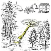 Conférence Mathias Bonneau, bûcheron