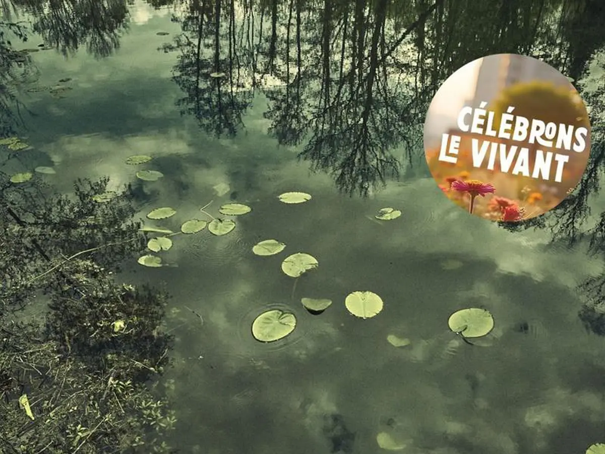 Conférence - noir rivière : entre l'eau et l'imaginaire