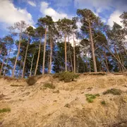 Conférence par Gilles Granereau