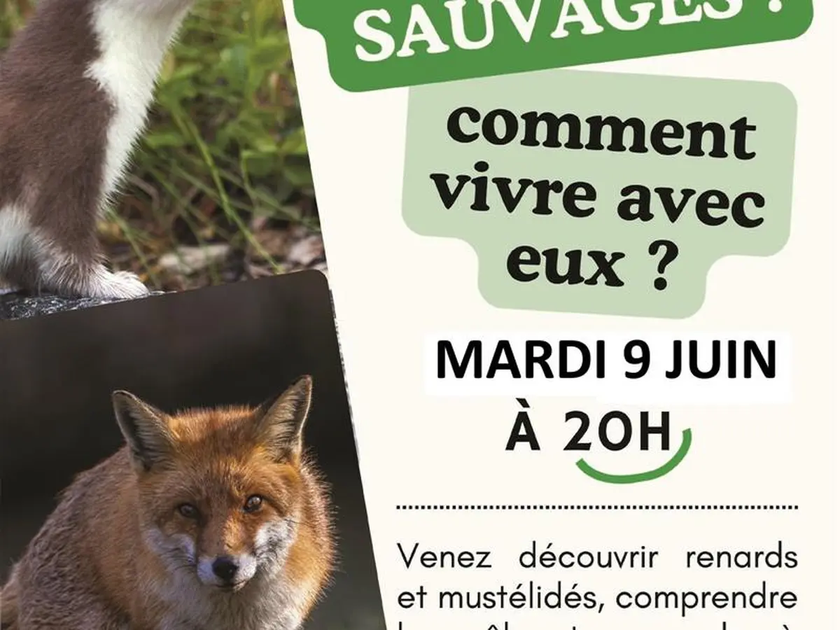 Conférence petits prédateurs sauvages