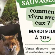 Conférence petits prédateurs sauvages