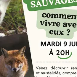 Conférence petits prédateurs sauvages
