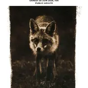 Conférence Photographies