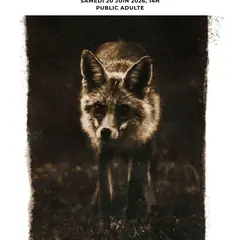 Conférence Photographies