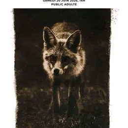 Conférence Photographies