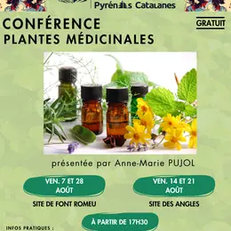 Conférence Plantes Médicinales - 28 Août