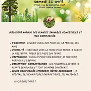 Conférence : Plantes sauvages et comestibles