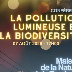 Conférence - Pollution lumineuse et biodiversité