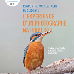 Conférence - Rencontre avec la faune du Sud-Est : l'expérience d'un photographe naturaliste