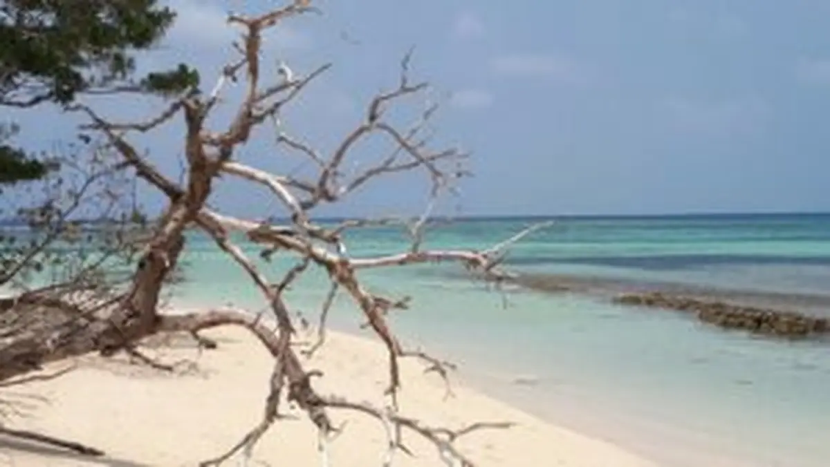 Conférence -Sur le Nouvelle Calédonie