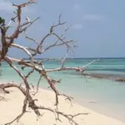 Conférence -Sur le Nouvelle Calédonie