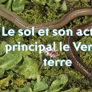 Conférence sur le sol et son acteur principal le Ver de terre