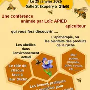 Conférence sur les abeilles